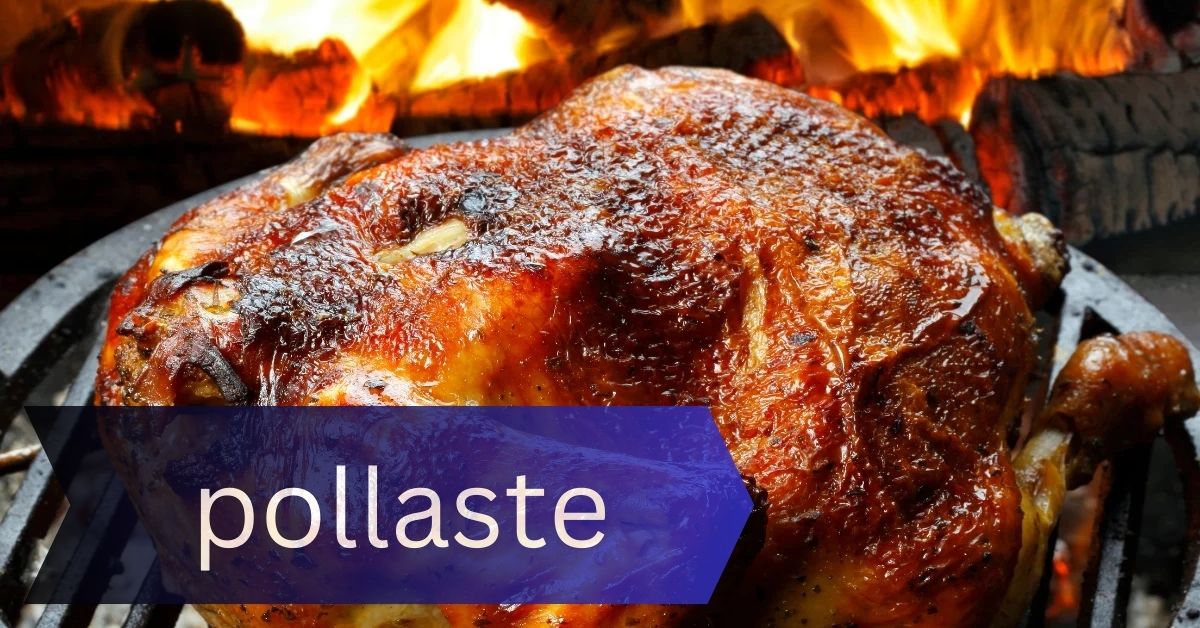 Pollaste – The Future of Sustainable Poultry and Healthy Food