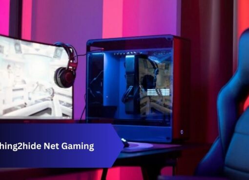 Nothing2hide Net Gaming